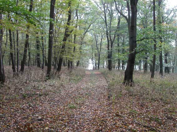 http://www.geocaching.hu/cacheimages/2004-10/1637_20041003_185152.jpg