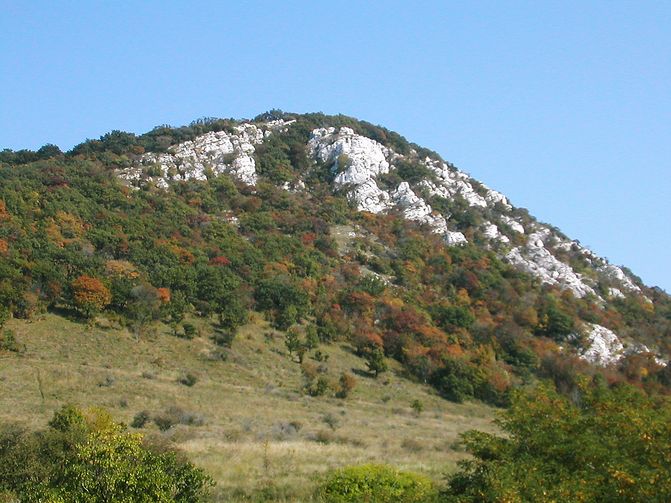 Kesztölc