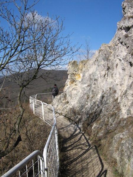 Photo of  Barangolás a Budai hegyek közt