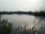 Balatonh�dv�g-puszta