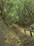 A Borókás-árok A Borókás-árok