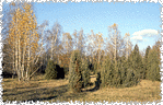 Bor�k�s
