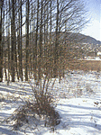 2003. feb. 2003. feb.