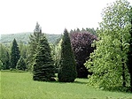 Tájrészlet Tájrészlet
