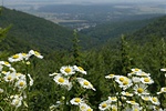 Panoráma a szerpentinrôl Panoráma a szerpentinrôl