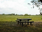 A pihenőhely A pihenőhely