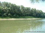 A szőke Tisza és bal partja A szőke Tisza és bal partja