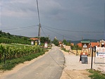 Az utat borozók szegélyezik Az utat borozók szegélyezik
