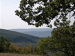 Távolban a Pes-kő - a 2 palack közelében Távolban a Pes-kő - a 2 palack közelében