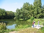 Park Park