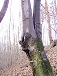 Az első pont Az első pont