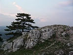 A csúcs A csúcs