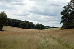 A völgy (Papka) A völgy (Papka)