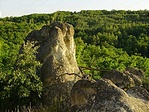 A legmagasabb kaptárkő... A legmagasabb kaptárkő...
