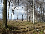 Útban a 2. pont felé. A rejtéskor itt még fák voltak