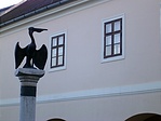 A város jelképe a pelikán A város jelképe a pelikán