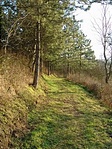 2005 jan. V. (Csuhás) 2005 jan. V. (Csuhás)