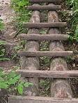 Tipegô Tipegô