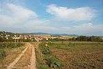 A falu és a Börzsöny A falu és a Börzsöny