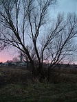 Kil�t�s az els� rejtekhelyt�l