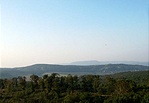 Kutya-hegy, Pilis, Nagy-szénás Kutya-hegy, Pilis, Nagy-szénás