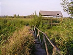 A faház és a hozzá vezető út 2005-ben A faház és a hozzá vezető út 2005-ben