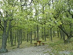 Pihenőpad Pihenőpad