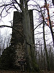 Dendromániásoknak Dendromániásoknak