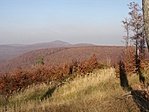 A hegy ÉNy-i oldaláról a Kámor A hegy ÉNy-i oldaláról a Kámor