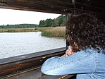 Madárlesen Madárlesen