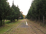 �llom�s a Nagycserei Pihen�k�zpontban