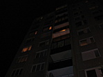 259. zöldfülű és höri kuckója 259. zöldfülű és höri kuckója