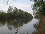 Kovalter(Rába part) Kovalter(Rába part)