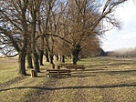 Padok ősszel Padok ősszel