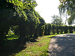 Park részlet Park részlet