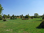 Park, kopjafákkal Park, kopjafákkal