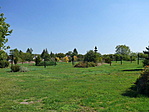 Park, kopjafákkal