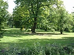 Kastélypark Kastélypark
