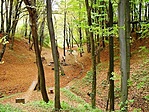 Felülről Felülről