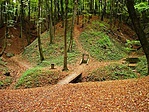 Források Források