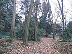 Park r�szlet 1.