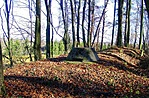 Bunker az erdőben Bunker az erdőben