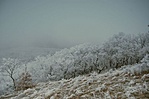 Télen Télen