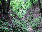Szurdok Szurdok