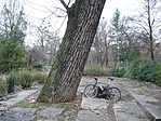 Az �j rejtekhely- 2008.03.03.