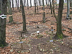 137. állomás: (Rendőr)Kutyatemető 137. állomás: (Rendőr)Kutyatemető