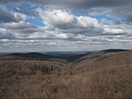 NY: V�r-v�lgy