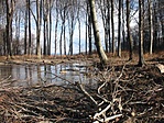 Tengerszem(szerű :-) Tengerszem(szerű :-)