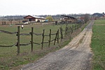 �t a Ranch fel�, erre kell menni.