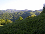 Királyerdő Királyerdő